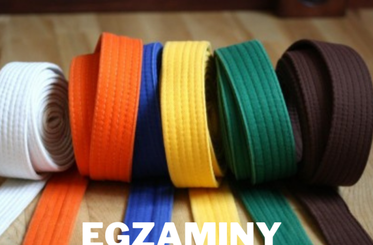 Egzaminy na stopnie uczniowskie kyu