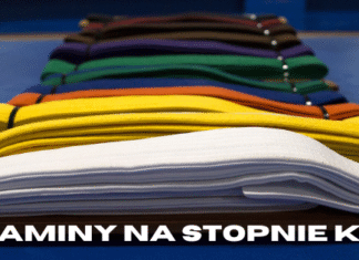 Egzaminy na stopnie kyu – harmonogram!